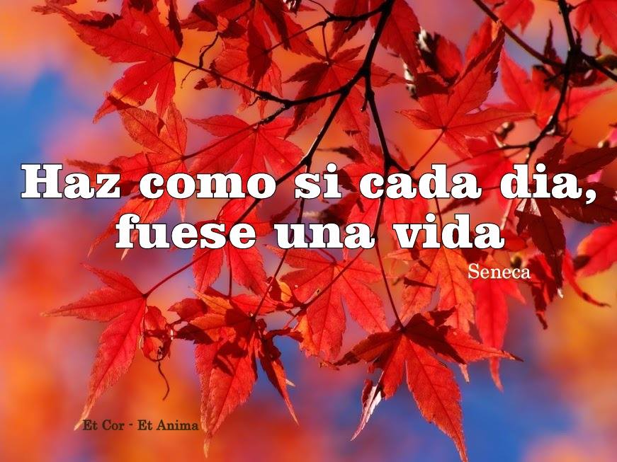 56310277_2124382060985696_5604957872040443904_n | Palabras Magicas Ho'oponopono | Ho´ponopono Se feliz