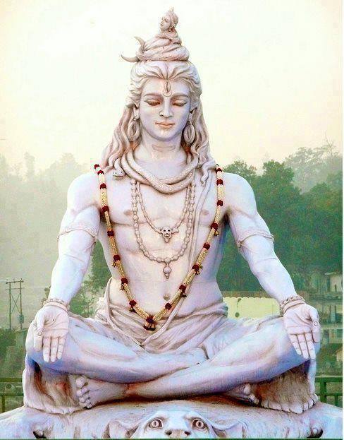 Meditar